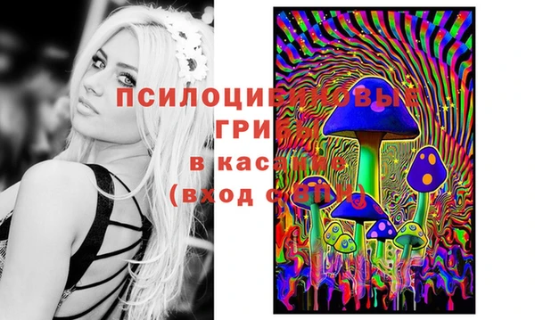 дурь Алексин