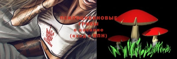 дурь Алексин