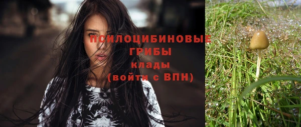 дурь Алексин