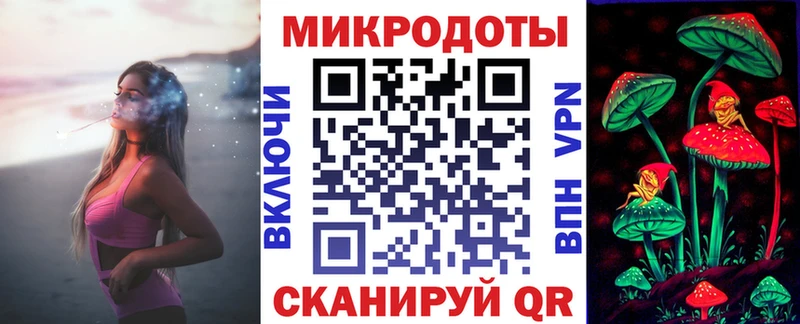 Галлюциногенные грибы Psilocybe Усинск